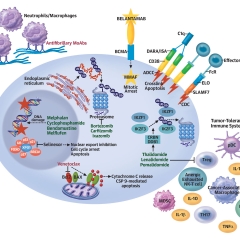 CardioOnc-2