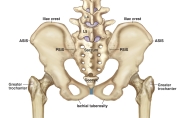 AUGS-Gynecology-2