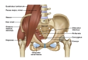 AUGS-Gynecology-3